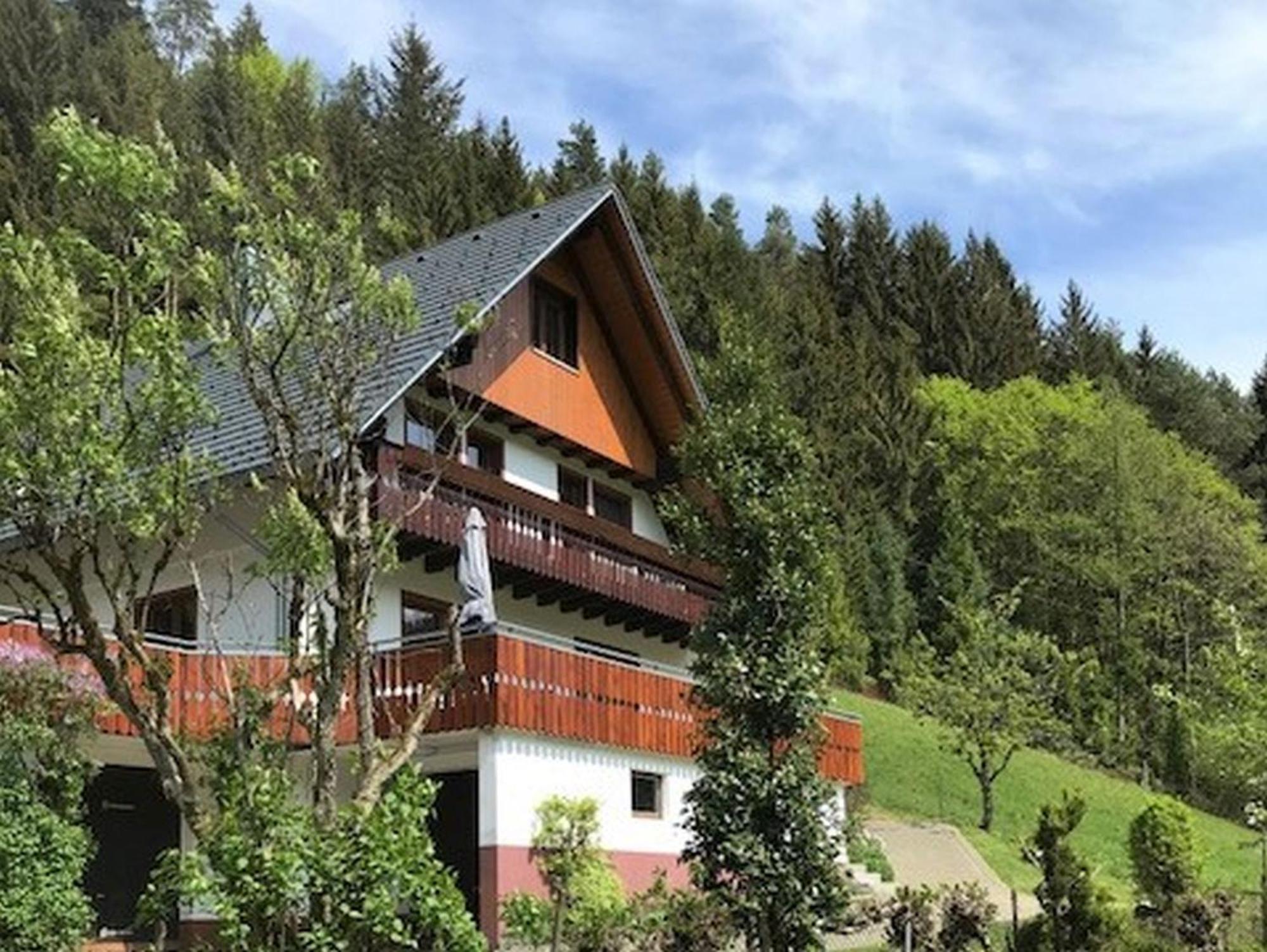 Waldbauernhof Apartment Hornberg Exterior photo
