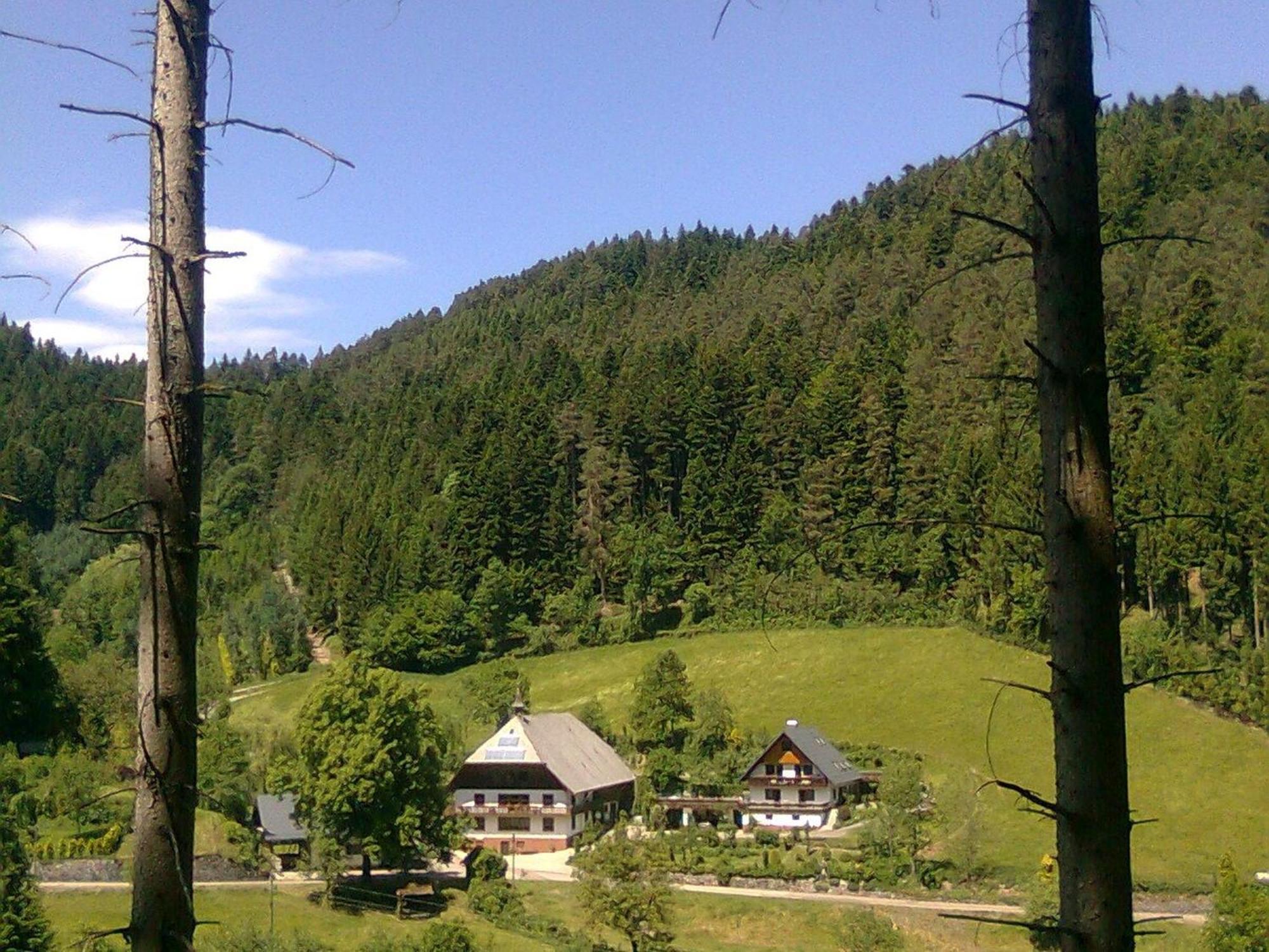 Waldbauernhof Apartment Hornberg Exterior photo