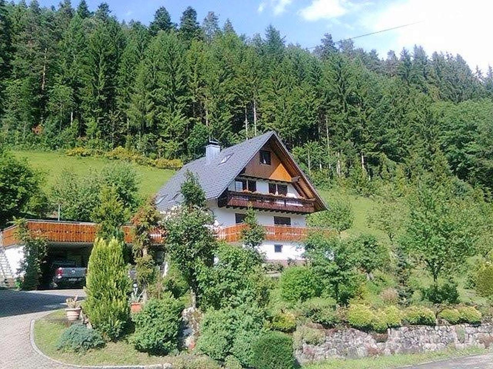 Waldbauernhof Apartment Hornberg Exterior photo