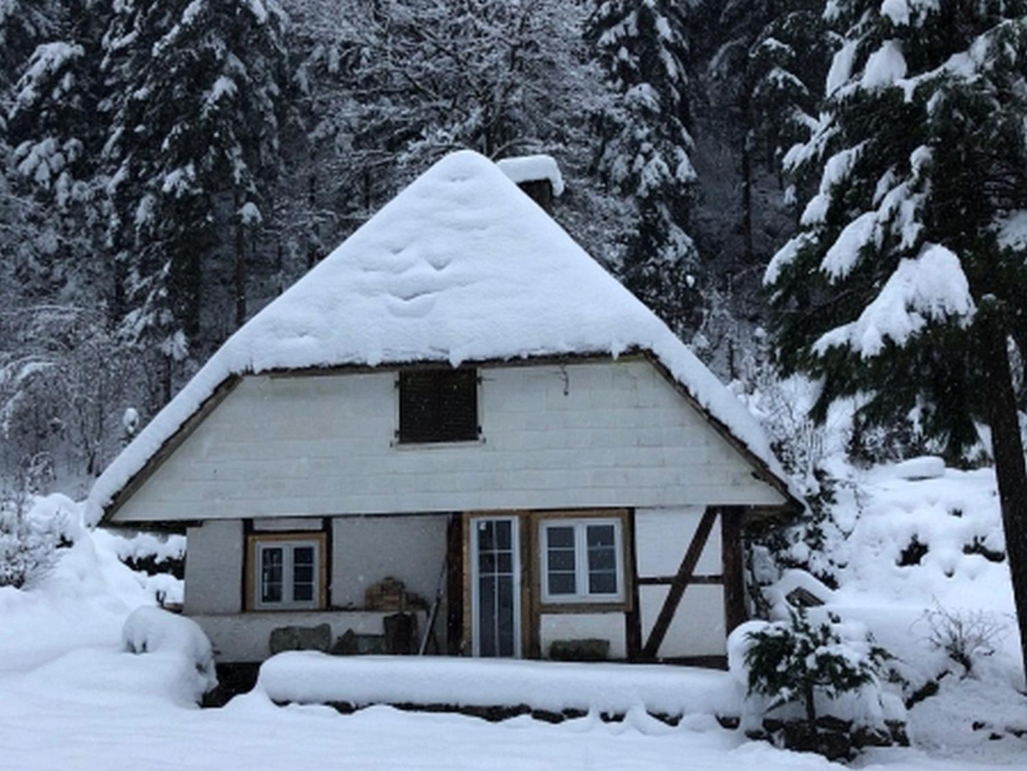 Waldbauernhof Apartment Hornberg Exterior photo