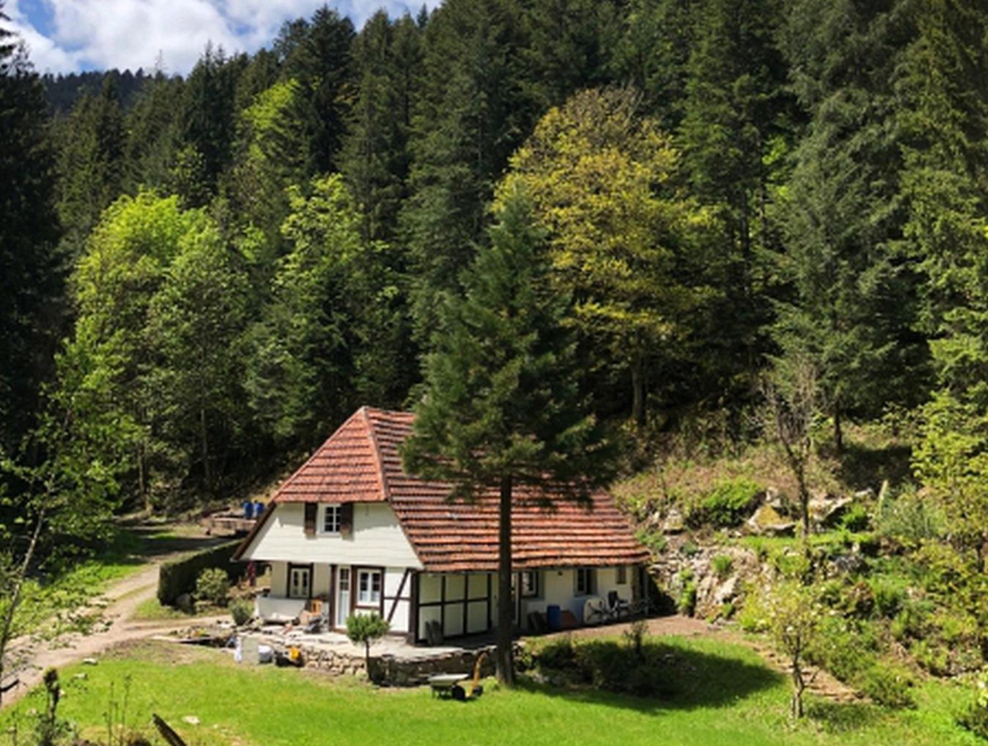 Waldbauernhof Apartment Hornberg Exterior photo