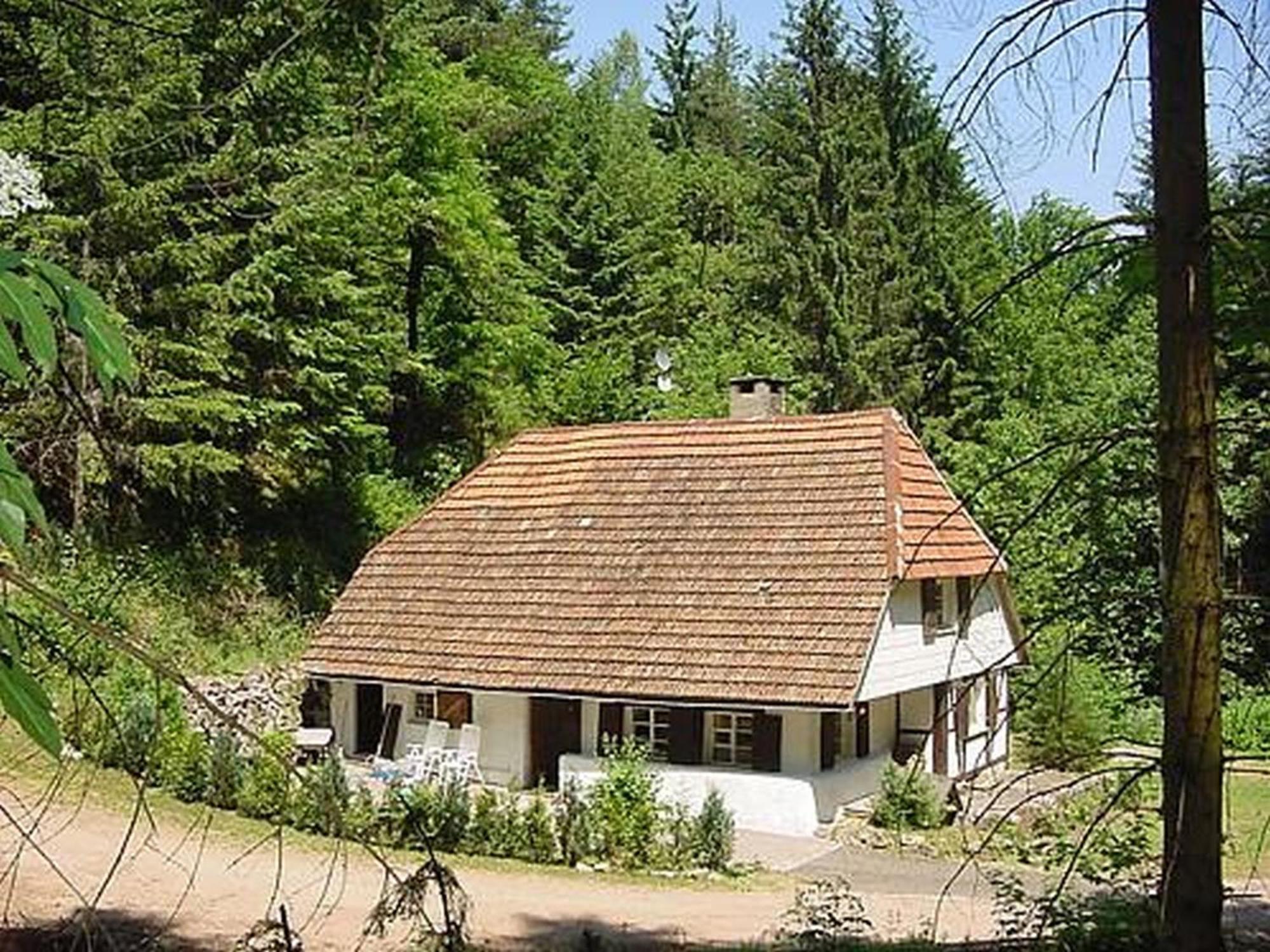 Waldbauernhof Apartment Hornberg Exterior photo