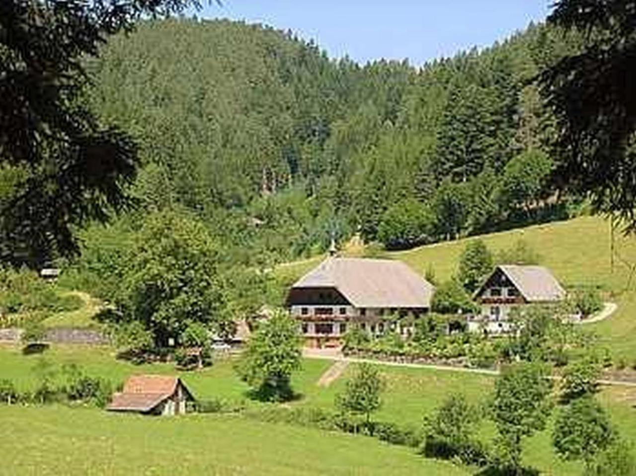 Waldbauernhof Apartment Hornberg Exterior photo
